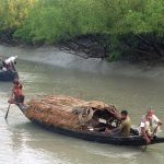 সুন্দরবন ভ্রমণ প্যাকেজ- (Sundarban Tour Package)
