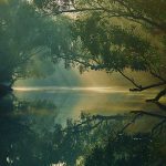 সুন্দরবনের সৌন্দর্য – [The Natural Beauty of Sundarban]